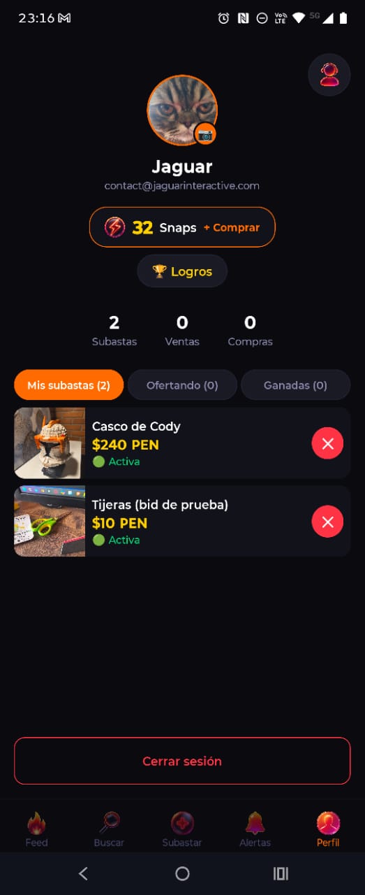 BidSnap Screenshot 3